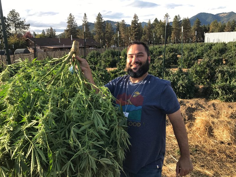 Harvest week with a client. The best time to understand a producer's labor alloc